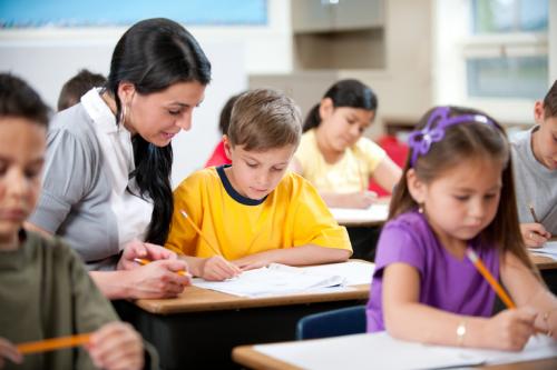 Стелющийся по земле кустарник. Лучшие почвопокровные для сада 14