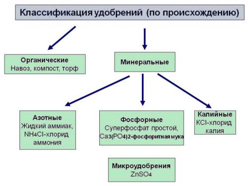 Какое удобрение для огорода выбрать. Добавление статьи в новую подборку 01 Какое удобрение для огорода выбрать. Добавление статьи в новую подборку 01