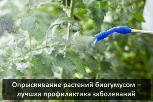 Биогумус жидкий инструкция. Жидкий биогумус