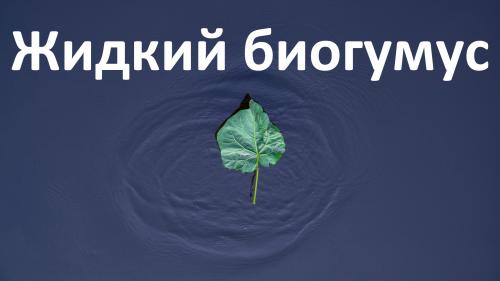 Биогумус жидкий инструкция. Жидкий биогумус