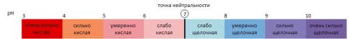 Как правильно подкармливать растения компостом. Как правильно и когда можно использовать компост осенью на даче