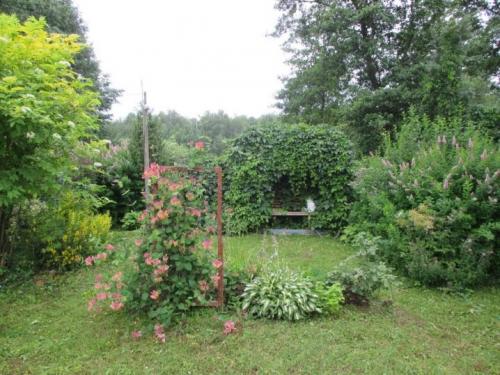 Совместимость жимолости с другими деревьями и кустами. Правильное соседство с кустарниками 24 Совместимость жимолости с другими деревьями и кустами. Правильное соседство с кустарниками 24