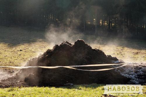 Виды перегноя. Виды навоза