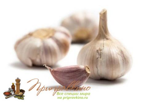 Как вырастить Чеснок из зубчика дома. Советы по выращиванию шикарного чеснока на подоконнике в квартире