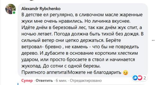 Можно ли употреблять в пищу личинки майского жука. Стадии развития майского жука — личинки и имаго Вред огороду приносят и взрослые жуки, и их личинки. 18