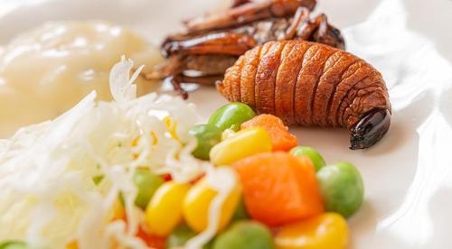 Можно ли употреблять в пищу личинки майского жука. Стадии развития майского жука — личинки и имаго Вред огороду приносят и взрослые жуки, и их личинки. 14