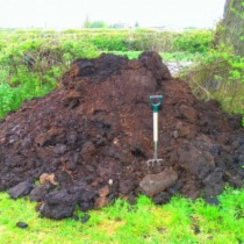 Навоз это. Виды навоза и его особенности