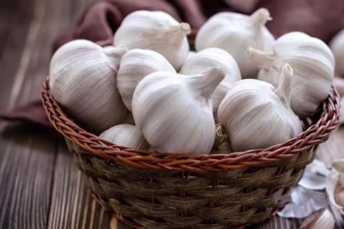 Когда убирать чеснок, посаженный весной. Когда в 2023 году можно убирать яровой чеснок, сборка с грядки и хранение