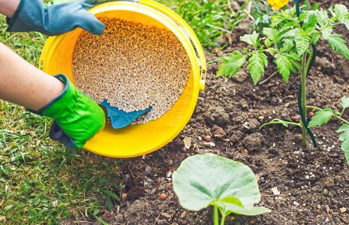 Универсальное весеннее удобрение. Подкормка весной – виды удобрений для сада и огорода