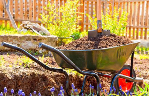 Универсальное весеннее удобрение. Подкормка весной – виды удобрений для сада и огорода