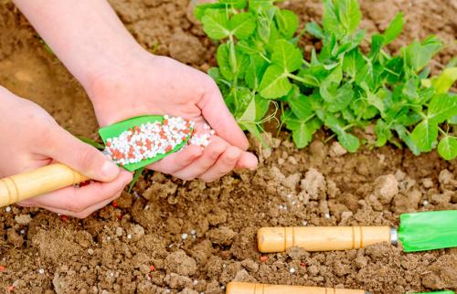 Универсальное весеннее удобрение. Подкормка весной – виды удобрений для сада и огорода
