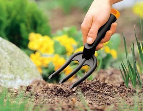 Чем удобрить землю весной. Когда вносить удобрения 18