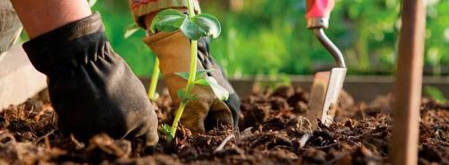 Чем удобрить землю весной. Когда вносить удобрения 16