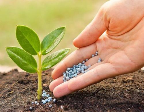 Чем удобрить землю весной. Когда вносить удобрения 14
