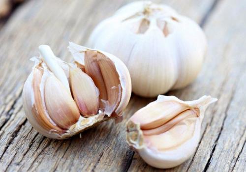 Посадка чеснока весной в открытый грунт