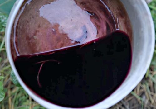 Посадка чеснока весной в открытый грунт