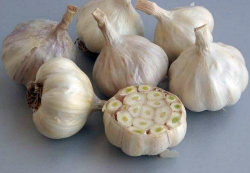 Все секреты выращивания крупного чеснока. Подкормки 08 Все секреты выращивания крупного чеснока. Подкормки 08