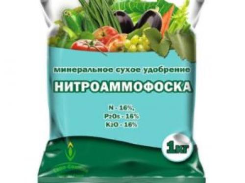 Чем подкормить чеснок весной. Когда и чем подкармливать чеснок весной и летом