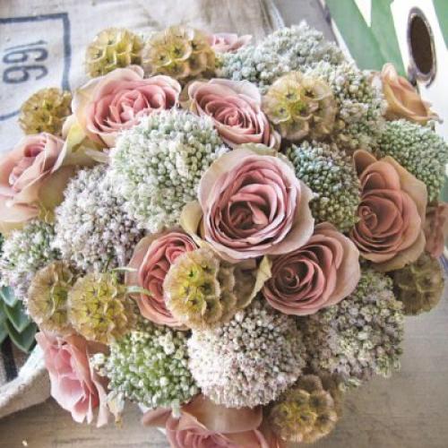 Декоративный лук моля. Что такое декоративный лук