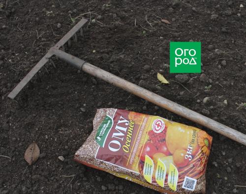 Как правильно высаживать луковичные цветы осенью: советы для начинающих 04