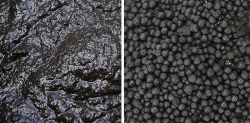 Сапропель состав. Что такое сапропель