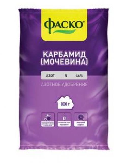 Самое лучшее удобрение для чеснока. Первая весенняя подкормка