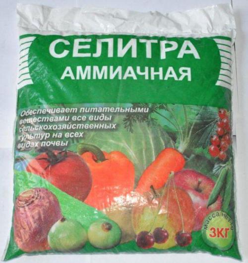 Самое лучшее удобрение для чеснока. Первая весенняя подкормка