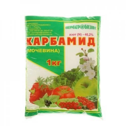 Чем подкормить озимый чеснок весной. Подкормки для озимого чеснока: как не прогадать?