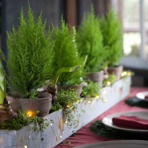 Как ухаживать осенью за цветами комнатными. Добавление статьи в новую подборку 02 Как ухаживать осенью за цветами комнатными. Добавление статьи в новую подборку 02