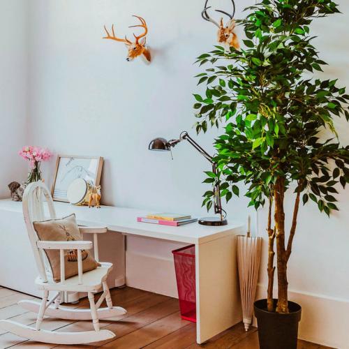 Как ухаживать осенью за цветами комнатными. Добавление статьи в новую подборку 03 Как ухаживать осенью за цветами комнатными. Добавление статьи в новую подборку 03