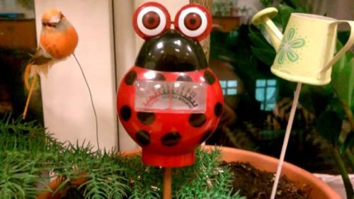 Как часто нужно поливать комнатные цветы. Зачем нужен полив цветов в домашних условиях? 01