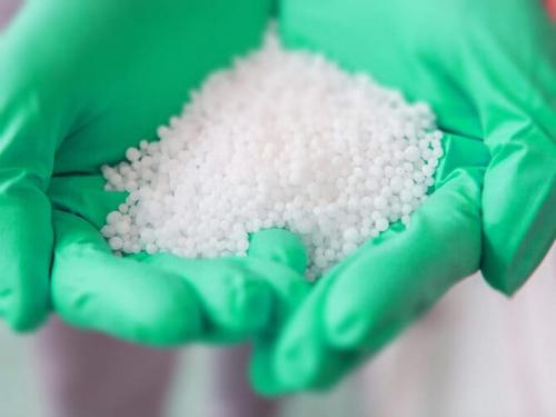 Как из мелкого чеснока вырастить крупный. Чем поливать и подкармливать чеснок, чтобы был крупным