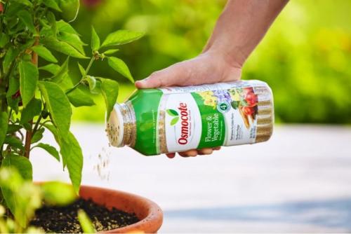 Чем подкормить комнатные растения в сентябре. Осенняя подкормка комнатных цветов: народные и промышленные удобрения для растений