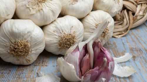 Яровой чеснок это. Все о яровом чесноке