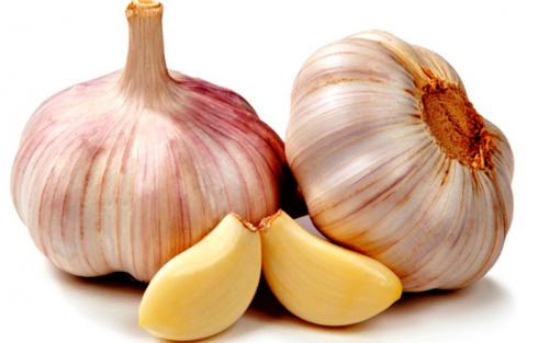 Чеснок яровой сорта. Яровой чеснок: описание и сорта