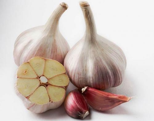 Как отличить озимый чеснок от ярового фото