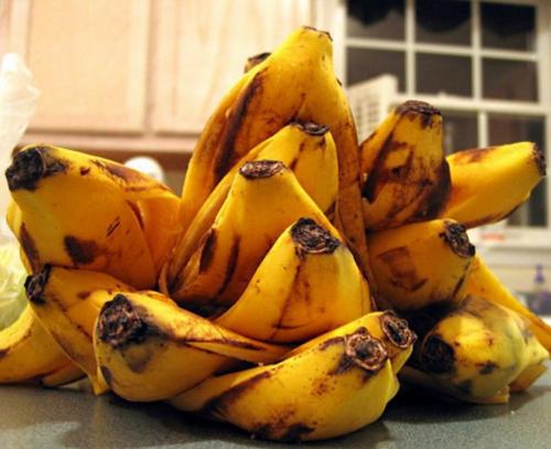 Чтобы комнатные цветы росли быстрее. Чем полить комнатные цветы для роста: химические и народные удобрения