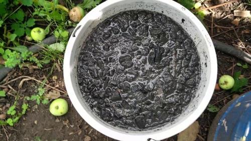 Как сделать удобрение в домашних условиях. 7 удобрений для огорода, которые можно сделать самостоятельно, чтобы не покупать химию