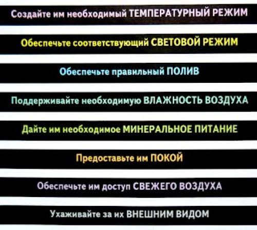 Таблица по уходу за комнатными растениями. Основные правила грамотного  ухода за комнатными растениями и цветами. Уход за растениями во время отпуска. Правильный уход за комнатными цветами и растениями — гарантия их благополучия, вашего успеха и здоровья.
