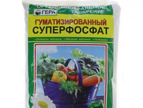 Чтобы комнатные цветы росли быстрее. Чем полить комнатные цветы для роста: химические и народные удобрения