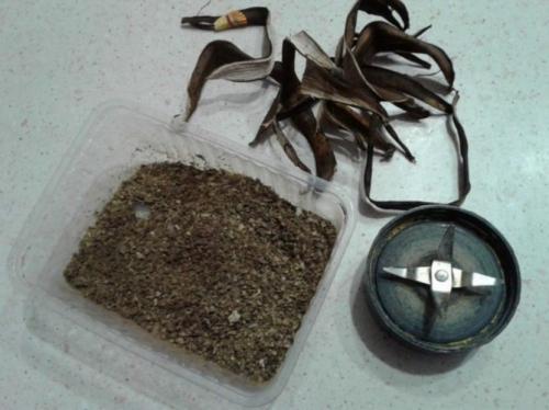 Чтобы комнатные цветы росли быстрее. Чем полить комнатные цветы для роста: химические и народные удобрения