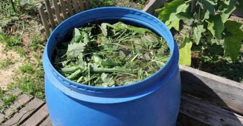 Как сделать удобрение в домашних условиях. 7 удобрений для огорода, которые можно сделать самостоятельно, чтобы не покупать химию