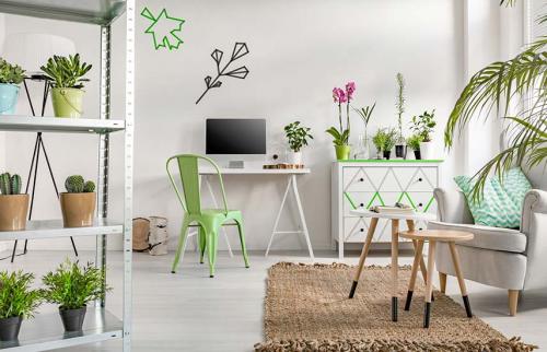 Уход за комнатными цветами. 7 золотых правил ухода за комнатными растениями