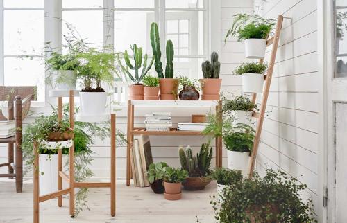 Средства по уходу за комнатными растениями. 7 золотых правил ухода за комнатными растениями