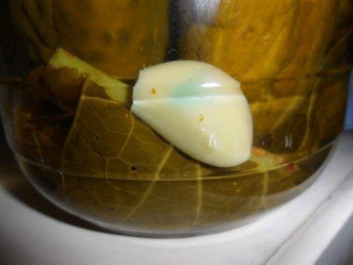 Чеснок посинел в духовке. Распространённая теория