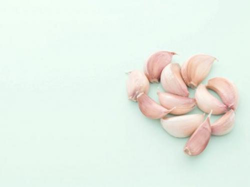 Что делать, чтобы чеснок не синел. Причины посинения