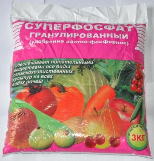 Лучшие удобрения для садовых цветов. Минеральные удобрения для цветов